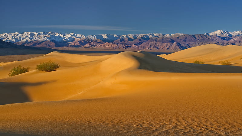 Earth, Desert, Dune, Landscape, Nature, HD wallpaper