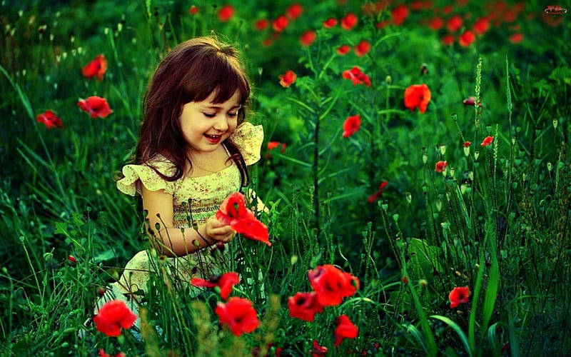 Cute girl in the garden, cute, red, little, grass, flowers, garden, HD wallpaper