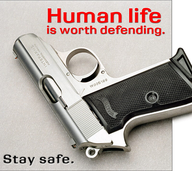 Stay Safe, defend, gun, nra, pistol, quote, rifle, security, usa, weapon, HD wallpaper