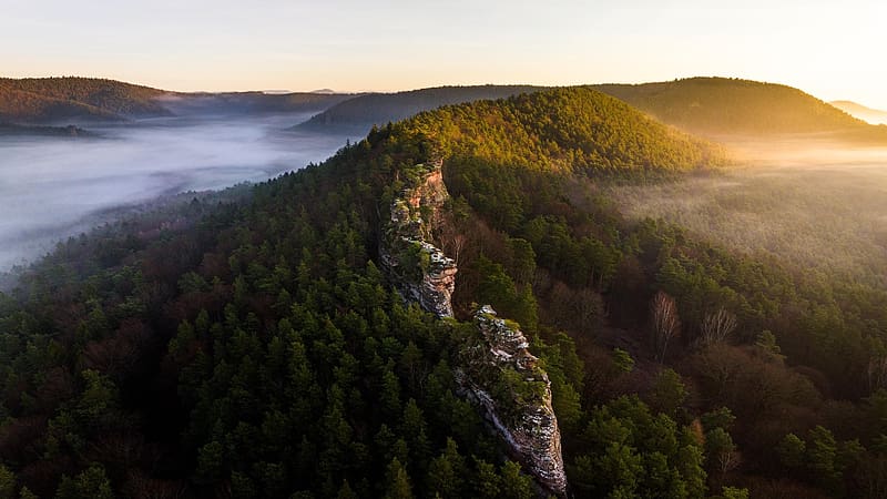 Valley of light and shade, Palatinate Forest, Germany, trees, landscape, hills, rocks, fog, HD wallpaper