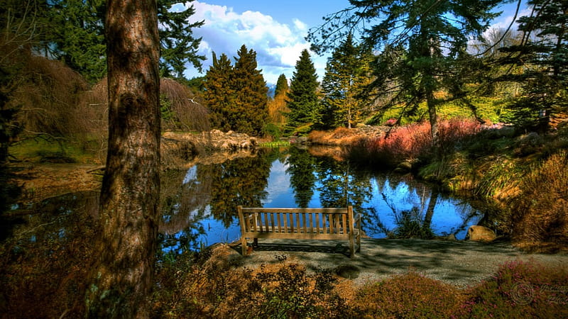 outstanding relaxing spot by a pond, pond, forest, bench, clouds, HD wallpaper