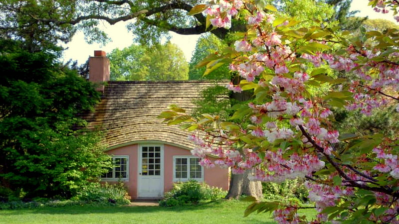 Pink Cottage House With Pink Wall Pink, HD wallpaper