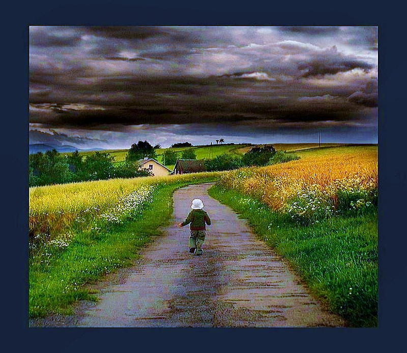 Growing up, grass, country, trees, clouds, boy, flowers, walk, road, crops, HD wallpaper