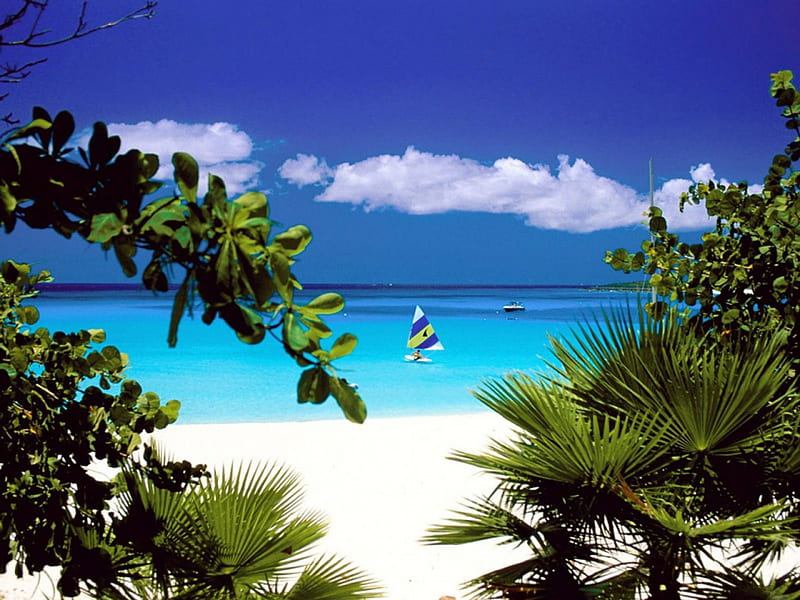 anguilla caribbean, beach, paradise, caribbean, anguilla, HD wallpaper