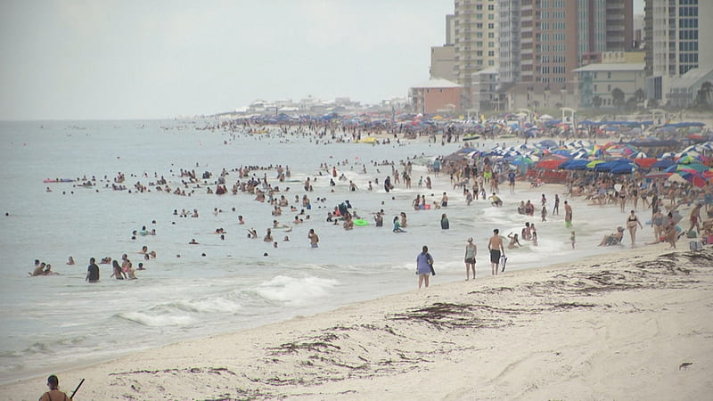 What Are The Short Term Rental Rules On Alabama Beaches?, Orange Beach Alabama, HD wallpaper