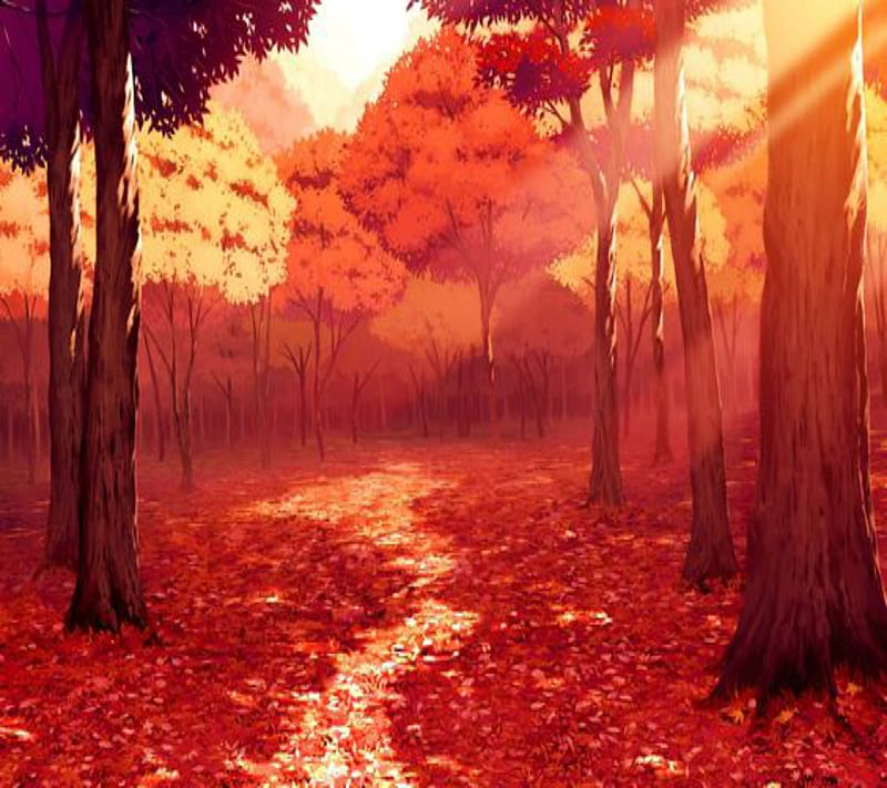 Anime Scenery 2, bonito, fall, trees, woods, HD wallpaper | Peakpx