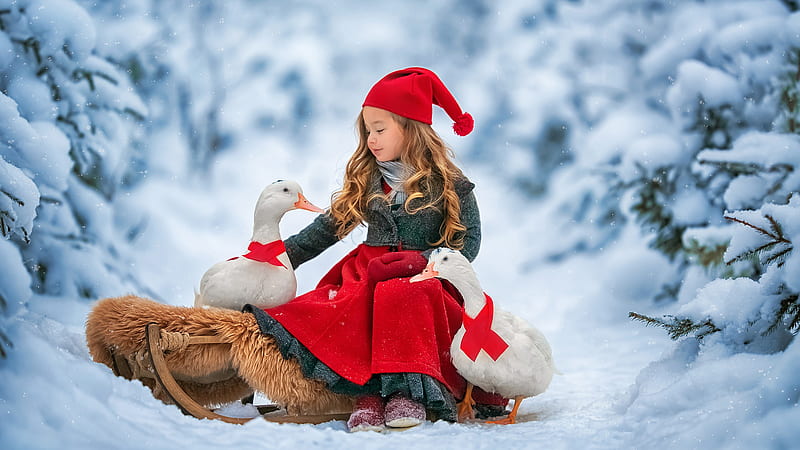 Cute Little Girl Is Wearing Santa Claus Dress And Cap Sitting With Goose In Snow Background Cute, HD wallpaper