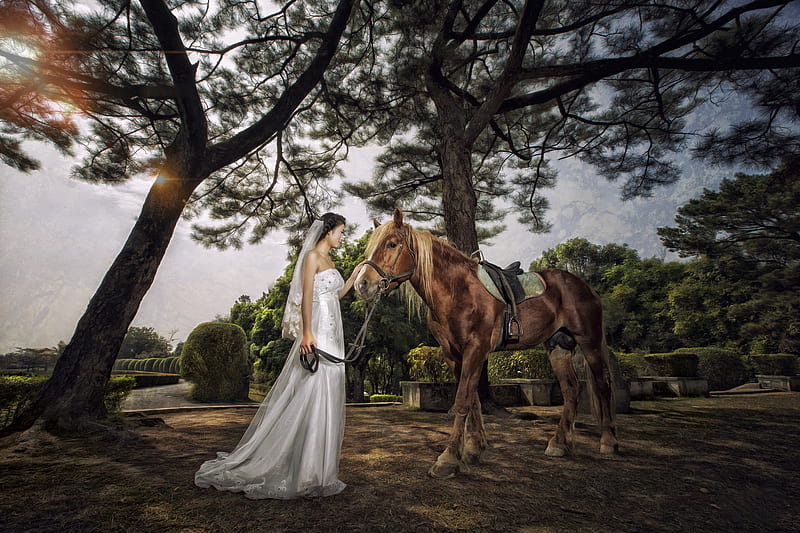 Cowgirl Bride, hedges, dress, cowgirl, wedding dress, saddle, bride, trees, horse, bushes, brunette, HD wallpaper