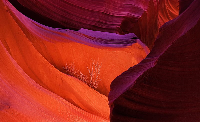 Canyons, Antelope Canyon, Arizona, Rock, USA, HD wallpaper