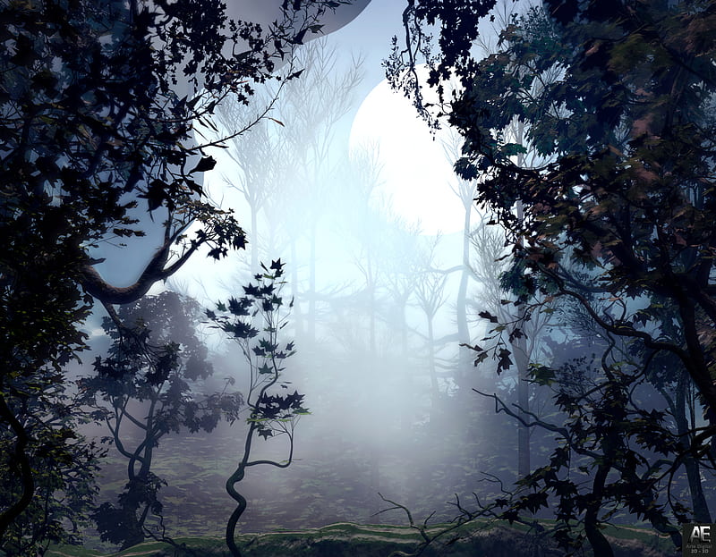 trees, fog, art, forest, HD wallpaper