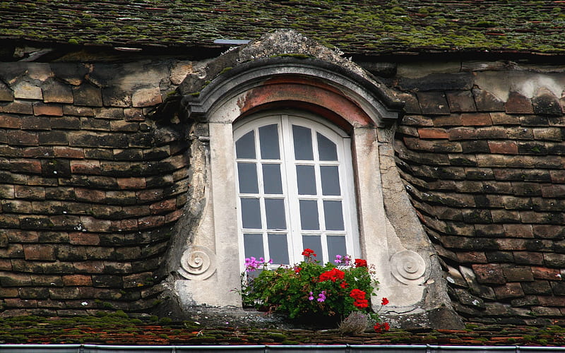 OLD ROOF WINDOW, roof, bricks, window, wall, historic, building, glass, decorative, flowers, HD wallpaper
