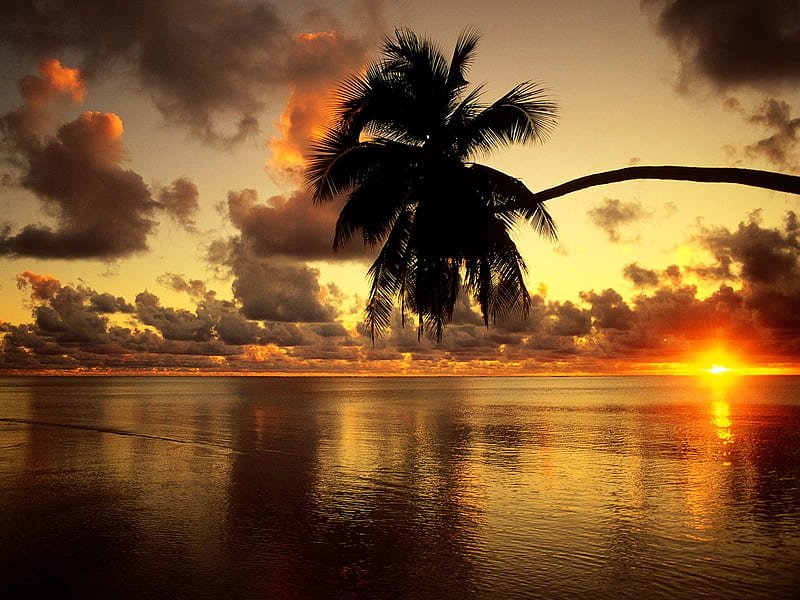 Atardecer en el paraiso, sunset, paradise, landscape, HD wallpaper