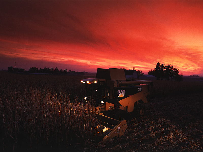 cat at sunset, farm, truck, plow, big, HD wallpaper
