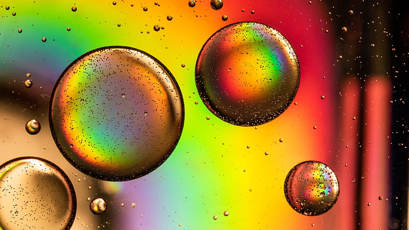 circles, bubble, rainbow, colorful, HD wallpaper