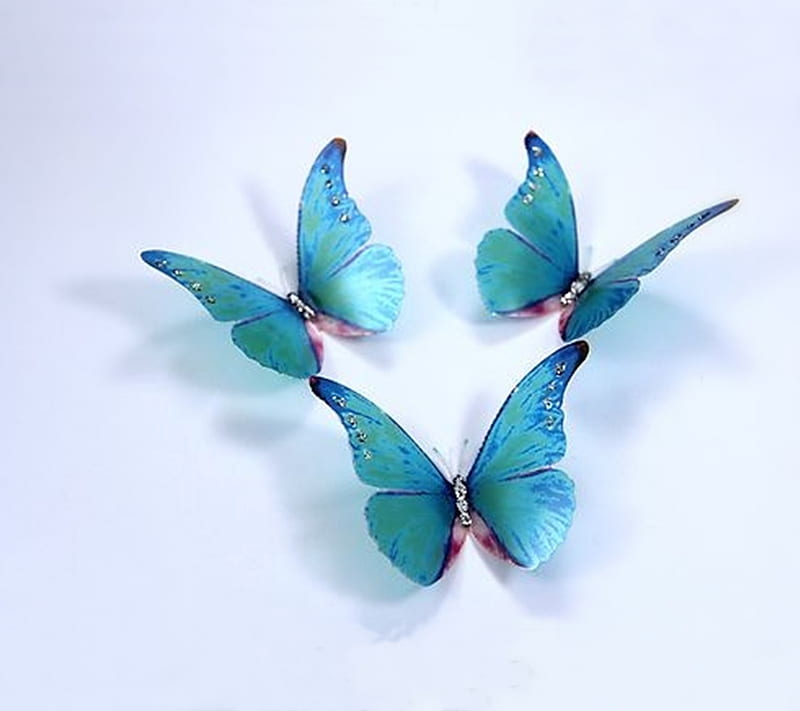 Butterflies, blue, wings, HD wallpaper