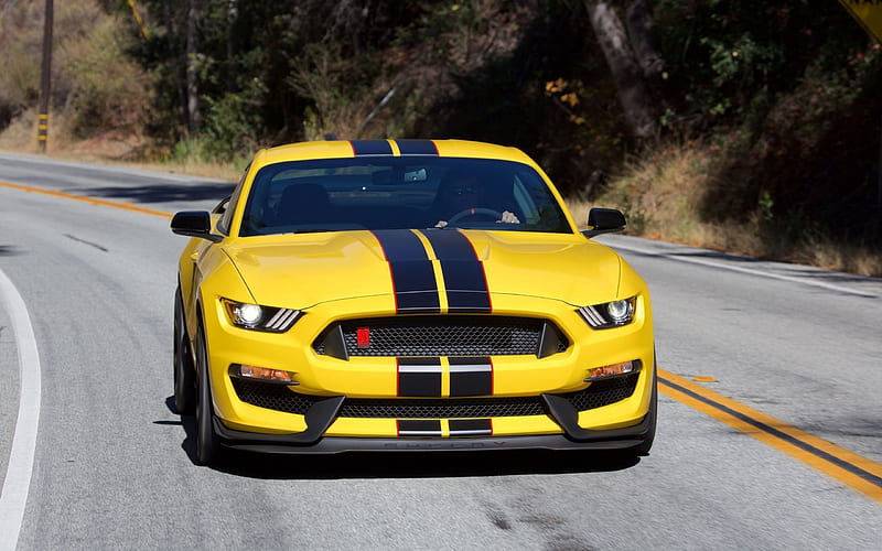 Ford Mustang, Shelby GT350, yellow Mustang, American cars, sports cars, Ford, HD wallpaper