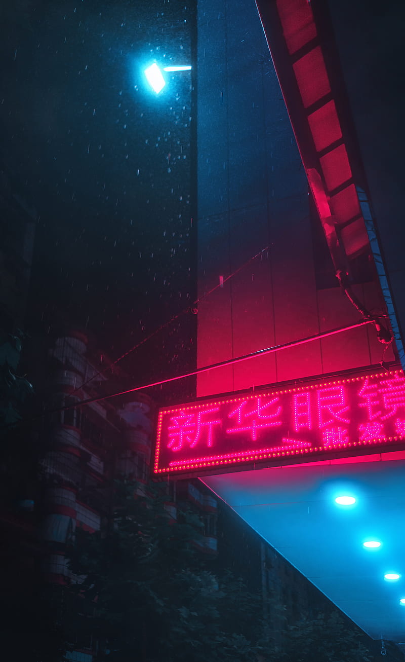 neon, light, sign, night, rain, HD phone wallpaper