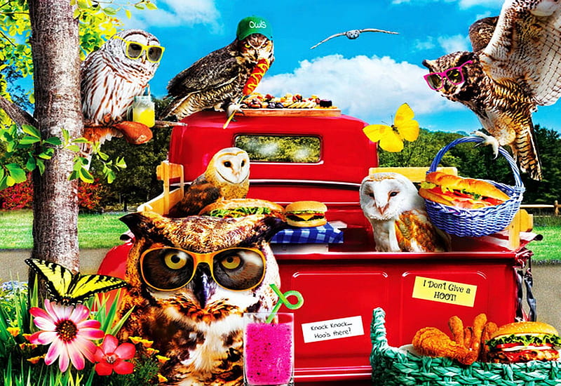 Tailgate at the park, owls, digital, butterfly, car, trees, sky, funny, HD wallpaper