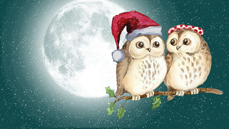 Little Holiday Owls, Christmas, New Years, holiday, snow, full moon, birds, owls, winter, HD wallpaper