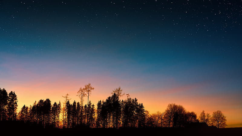 starry sky, trees, sunset, night, forest, HD wallpaper