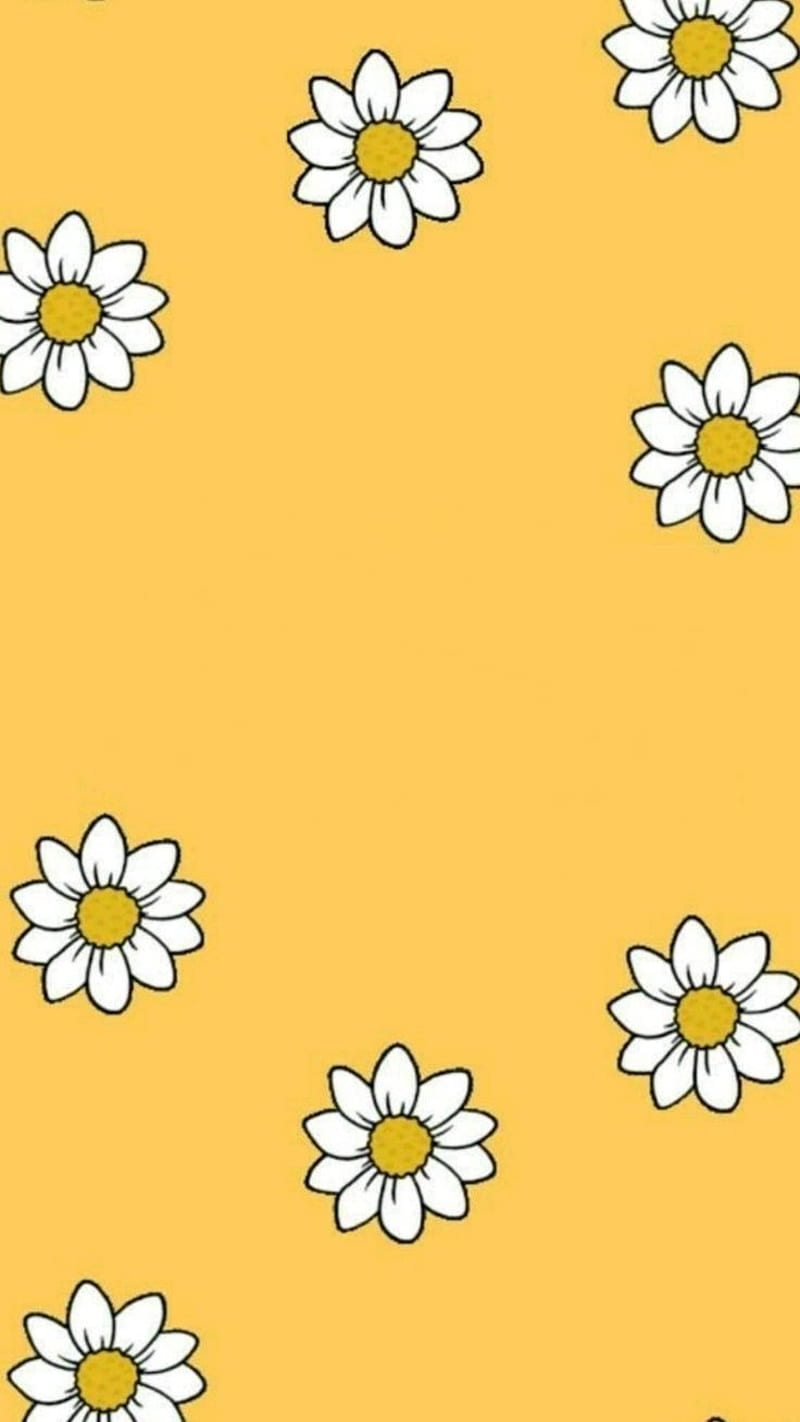 Yellow Flowers, aesthetic, cute, daisies, minimalistic, simple, spring,  vsco, HD phone wallpaper | Peakpx