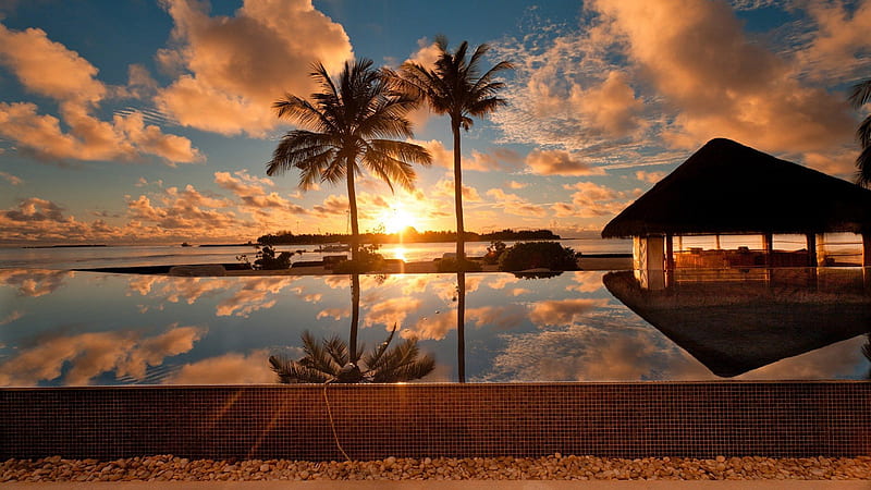 pool reflections in the tropics, poll, sunset, reflections, tropics, palms, HD wallpaper