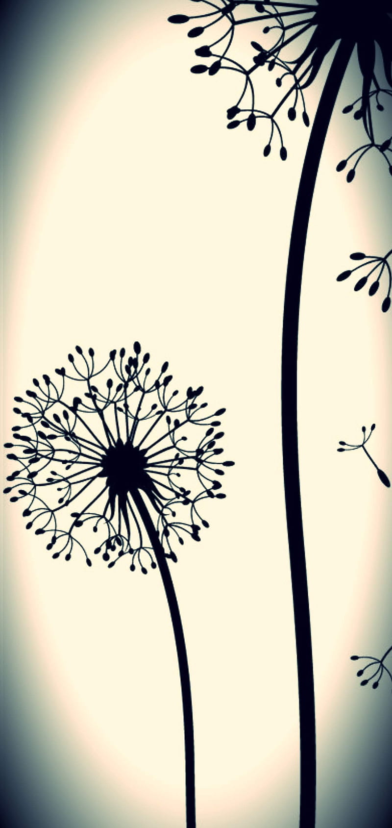 Dandelion s10e , black, flowers, samsung, white, HD phone wallpaper