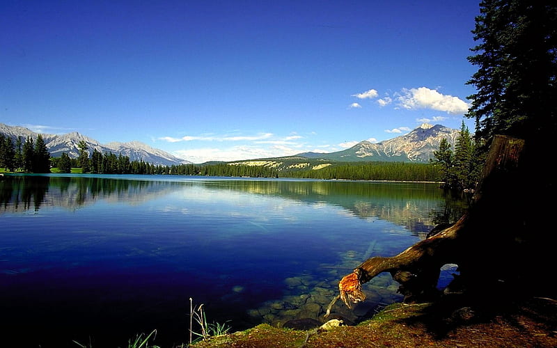 BLUE LAKE, hills, alps, branch, pines, lake, mountain, tree, stones, reflection, gravels, blue, HD wallpaper
