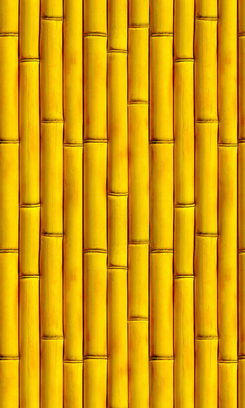 Bamboo Wall, color, yellow, HD phone wallpaper