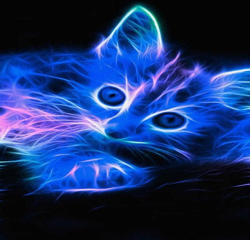 Fractal kitten, fractal, bright, abstract, kitten, animal, HD wallpaper ...