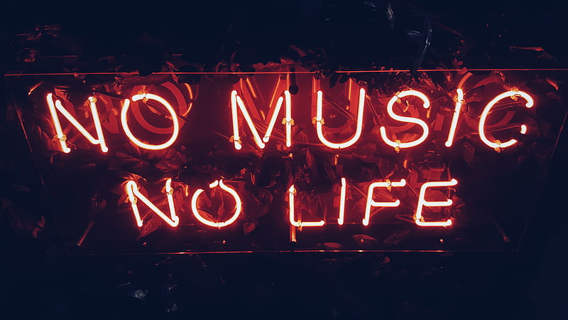 red no music no life signage, HD wallpaper