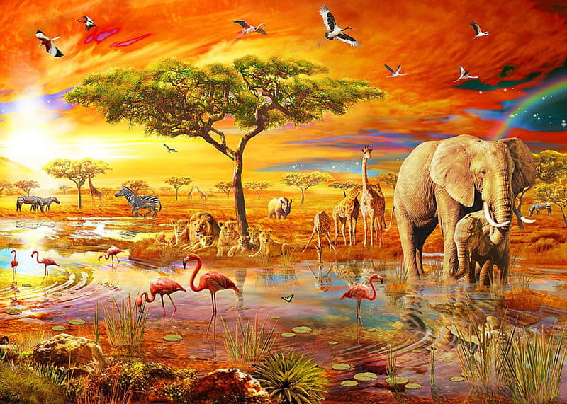 savanna, nature, elephant, animals, HD wallpaper
