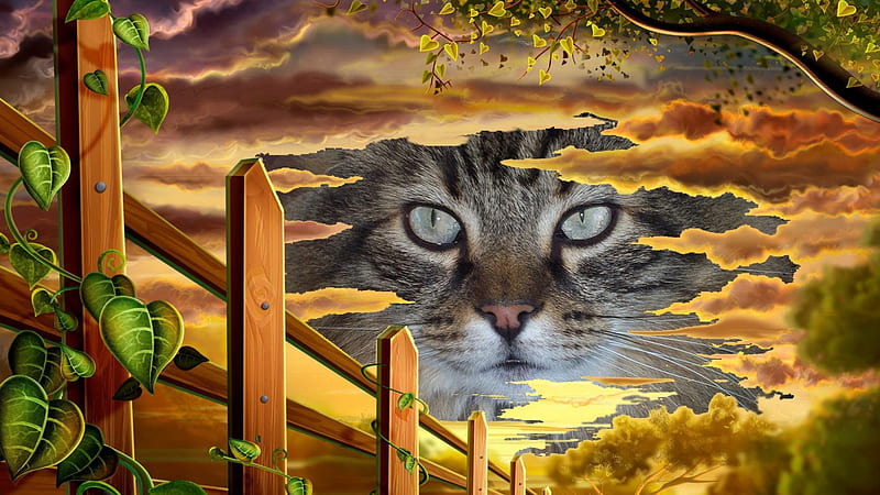 Cat in the Clouds, sky, cat, clouds, kitty, HD wallpaper | Peakpx