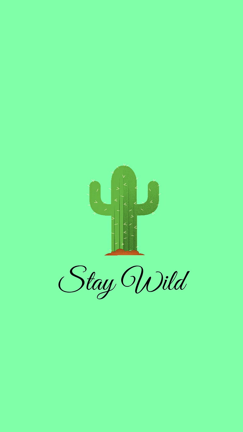 stay wild, cactus, cute, green, jungle, plant, plants, HD phone wallpaper