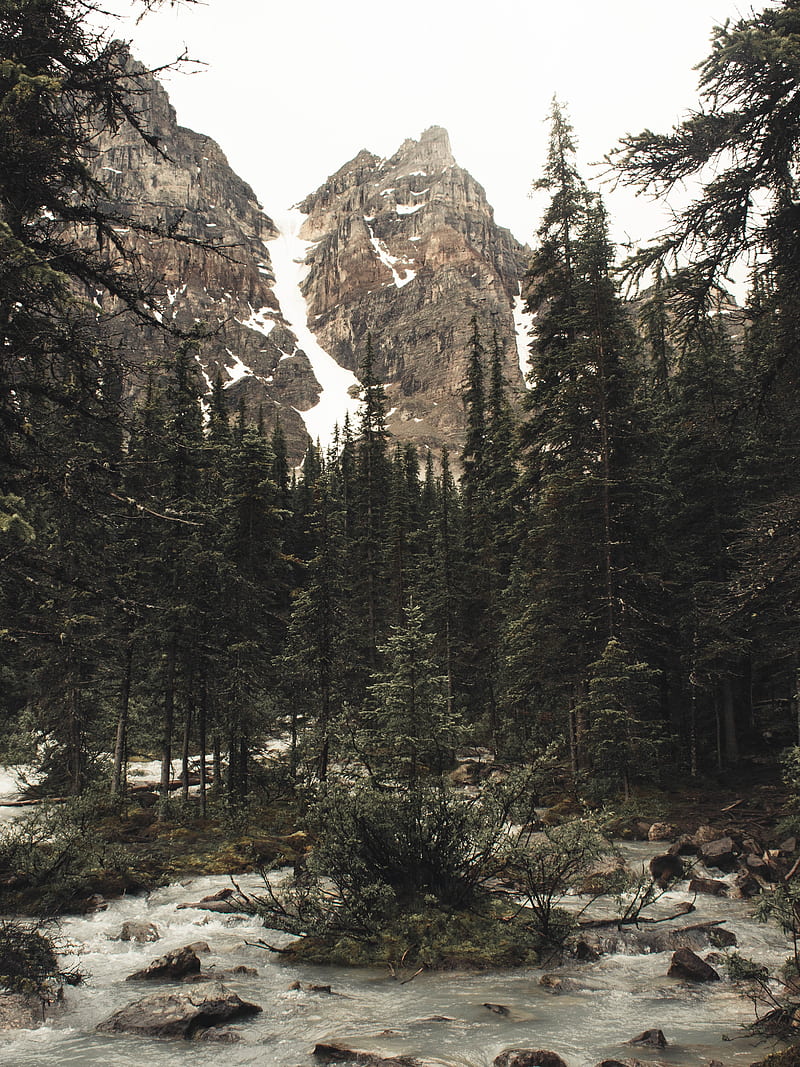 rocks, river, current, snowy, peak, HD phone wallpaper