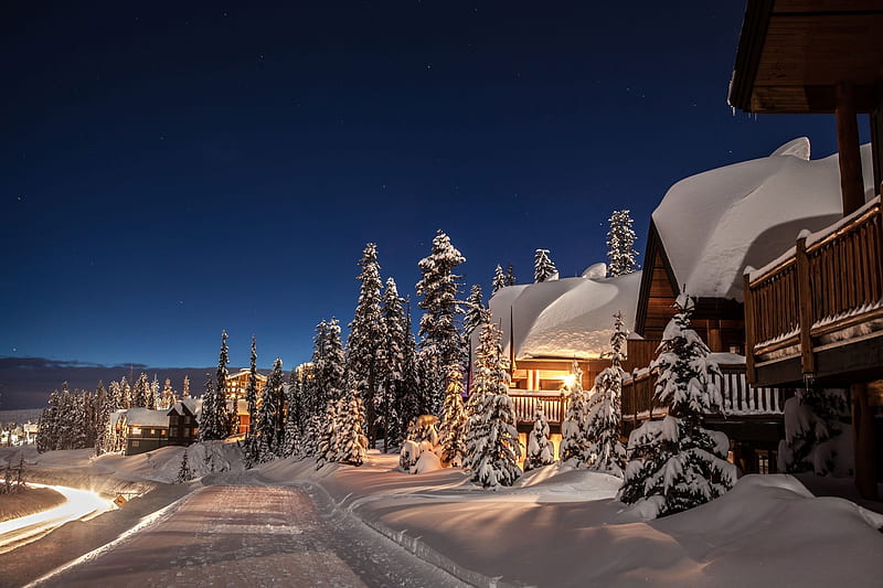Kelowna, British Columbia, Canada, trees, snow, street, houses, HD wallpaper
