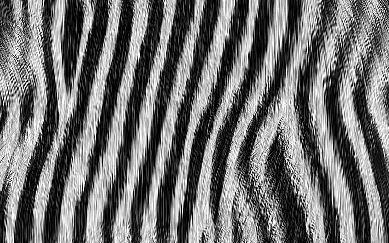 zebra texture, zebra wool, white black background, zebra skin texture, striped skin, zebra background, HD wallpaper