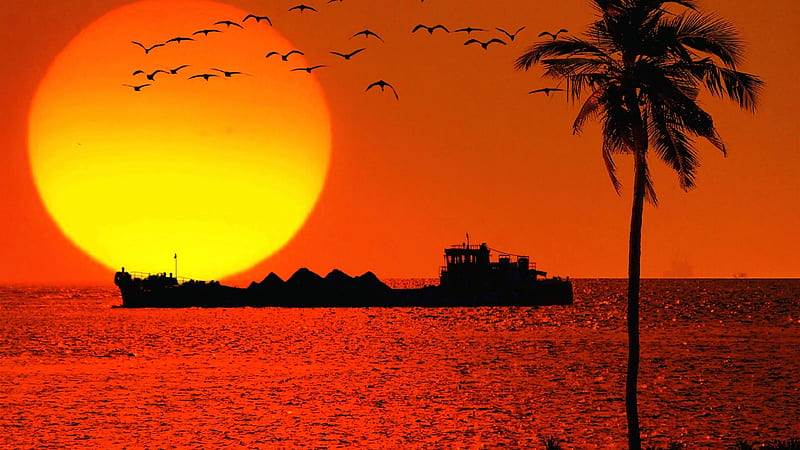 huge orange ocean sunset, tree, horizon, ship, orange, birds, sunset, sea, HD wallpaper