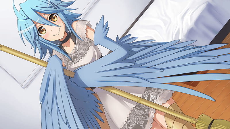 Harpy Monster Musume Anime, Papi, chibi, computer Wallpaper, fictional  Character png | PNGWing