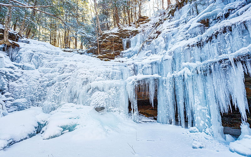 Entombed in ice, Endless mountains region, Pennsylvania, trees, icicles ...