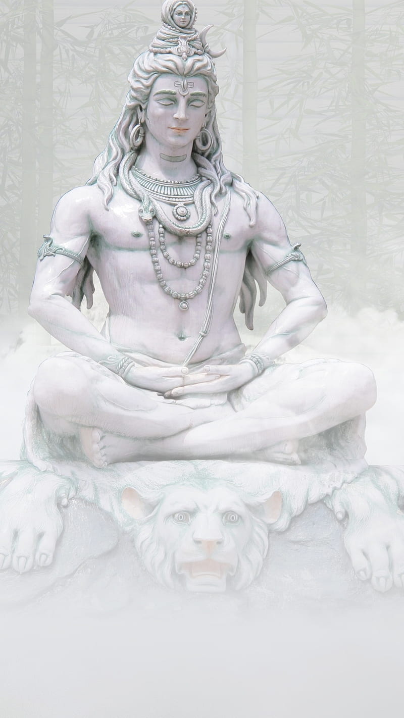 Lord Shiva Yogi , lord shiva, adiyogi, bhakti, devotional, religious, hindu, HD phone wallpaper