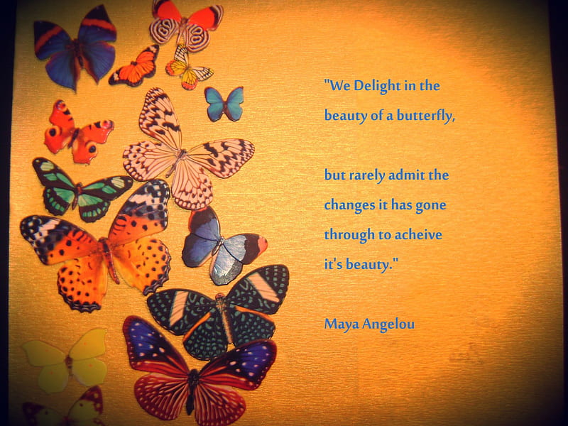Maya Angelou~, film director, poet, Maya Angelou, television producer,  dancer, HD wallpaper