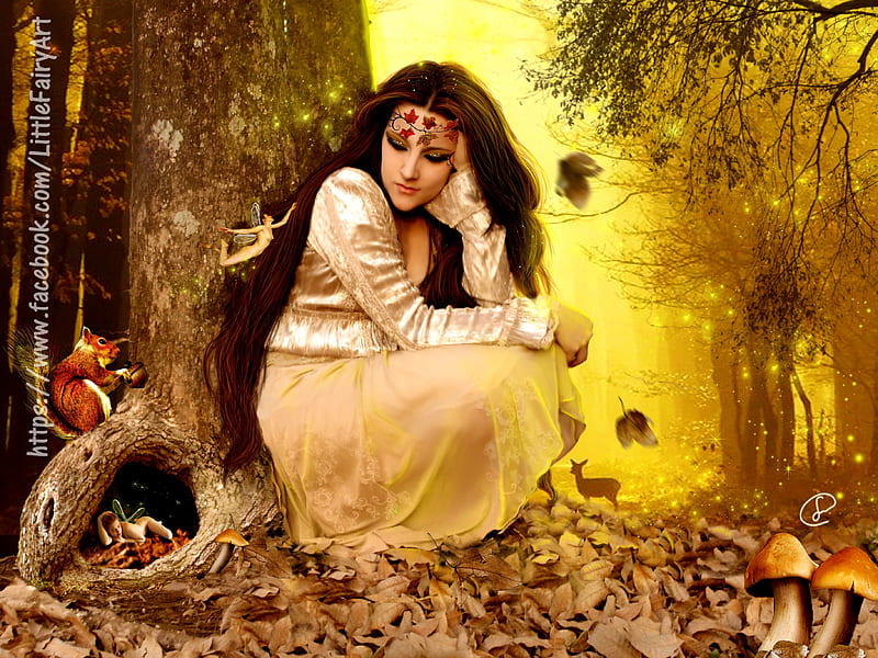 **Magic of Forest**, rocks, pretty, magic, women, fantasy, splendor, grasses, manipulation, flowers, forests, face, insects, fairy, lovely, models, lips, trees, fireflies, cute, cool, eyes, fall, colorful, squirrel, woods, mushroom, bonito, digital art, deer, hair, leaves, wild, fairies, girls, animals, amazing, female, colors, plants, HD wallpaper