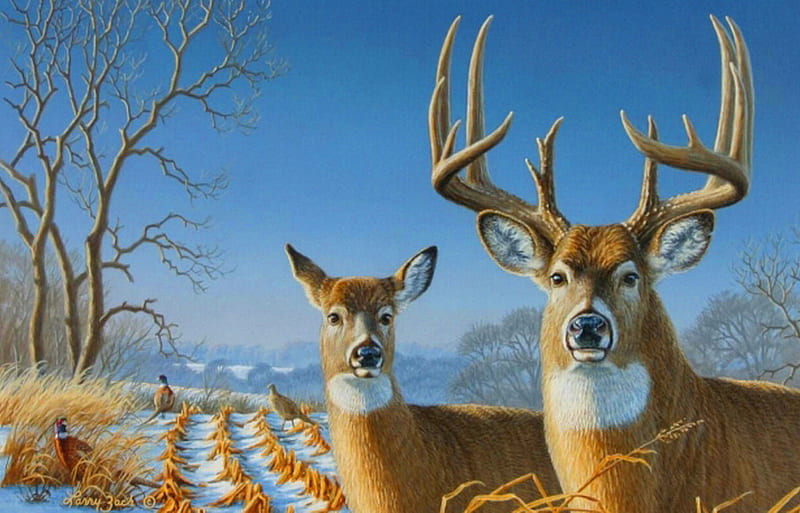 Deer couple, antlers, autumn, doe, fowl, buck, blue sky, deer, HD wallpaper
