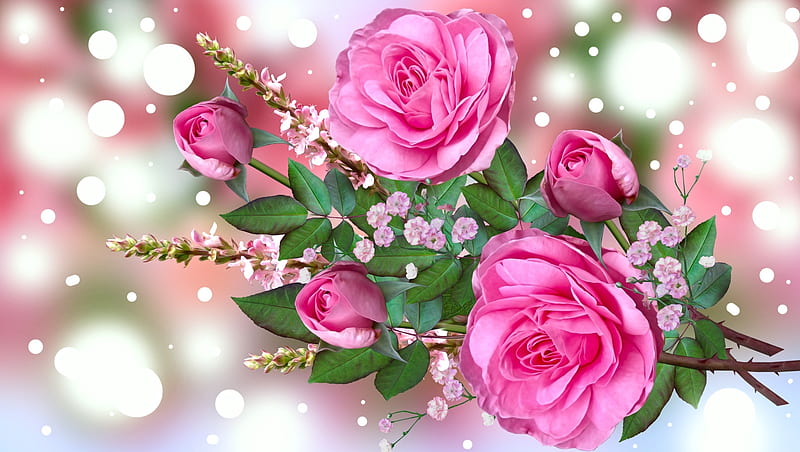Roses, Pink, Graphic, Flowers, HD wallpaper | Peakpx