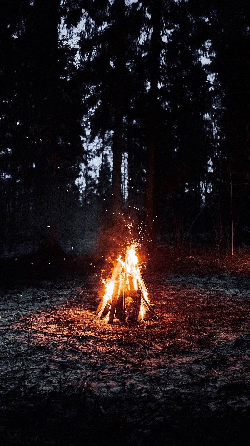 Fire burning forest nature woods flame  camp HD phone wallpaper   Peakpx