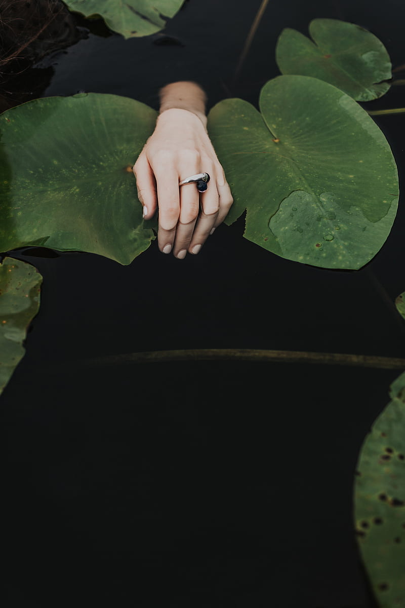 hand, ring, water lilies, leaves, water, HD phone wallpaper