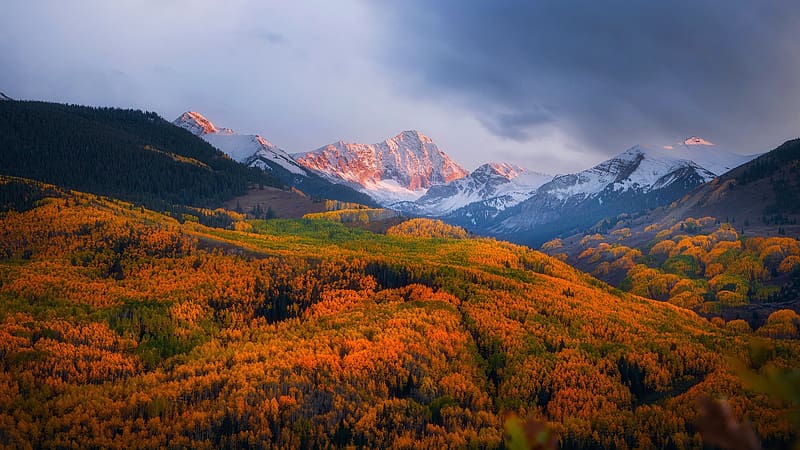 Gold Season in the Rocky Mountains of Colorado, clouds, landscape, colors, autumn, trees, sky, usa, HD wallpaper