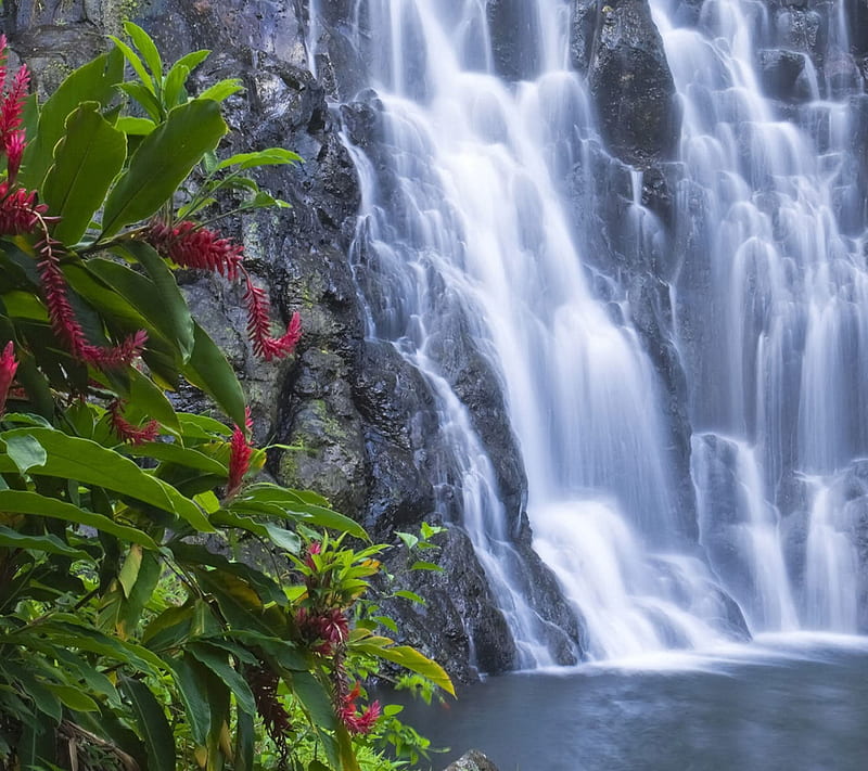 Water Fall, HD wallpaper