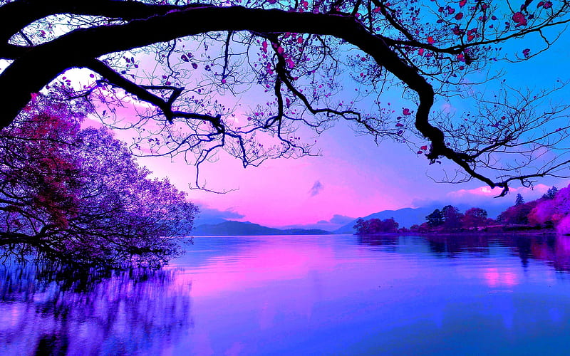 Purple Sunset On The Lake, HD wallpaper